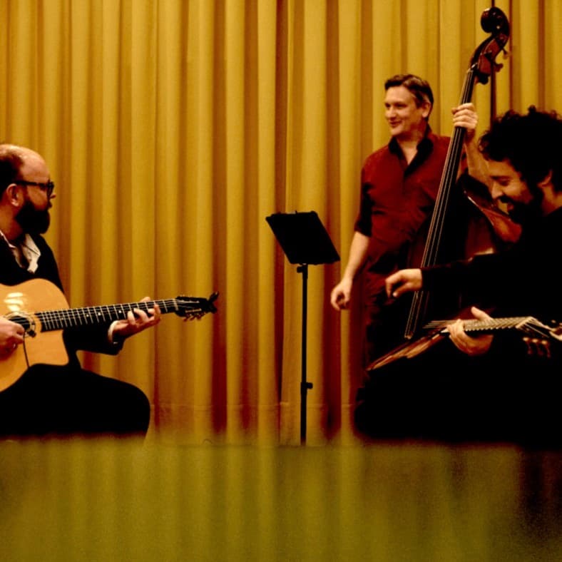 Crow Cat Trio (Jazz Manouche)